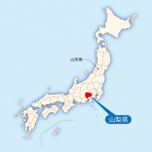 %e5%b1%b1%e6%a2%a8%e7%9c%8c%e7%b4%b9%e4%bb%8b1-300x300